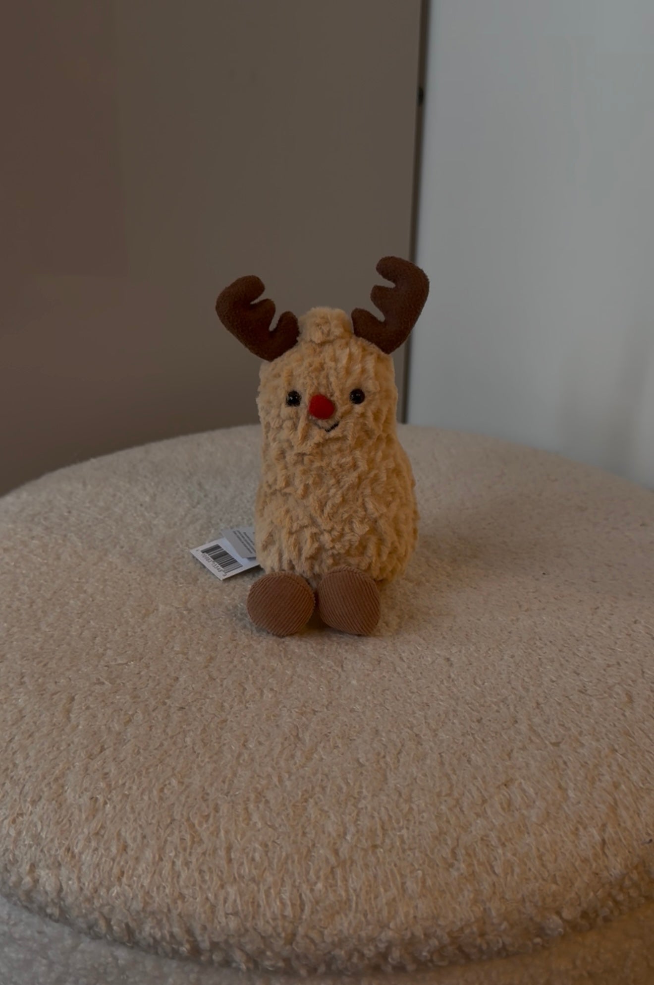 Raffle ticket for Peanut Reindeer